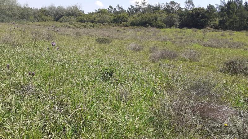 0 Bedroom Property for Sale in Albertinia Western Cape